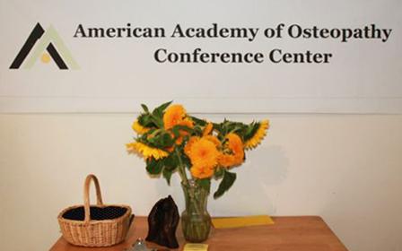 American Academy of Osteopathy